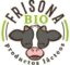 Frisona